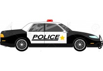 Police Cars