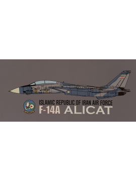 JC WINGS 1:72 IRAN AIR FORCE F-14A ALICAT